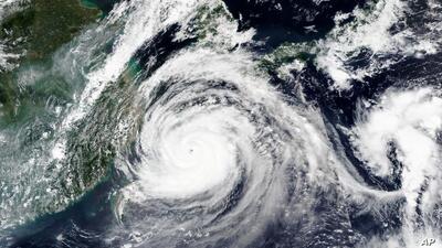 Из-за приближения тайфуна «Майсак» во второй половине дня ветер в Приморье достиг урагана