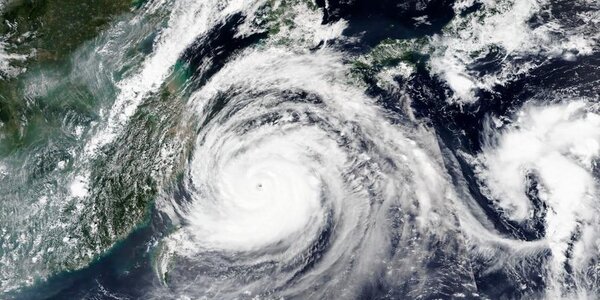 Из-за приближения тайфуна «Майсак» во второй половине дня ветер в Приморье достиг урагана