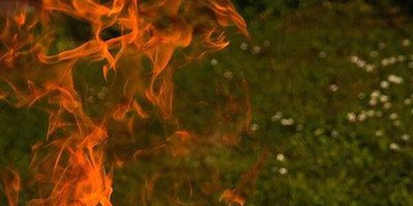 В мае в России могут начаться естественные лесные пожары