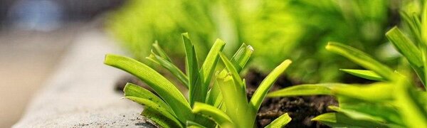 День 29 апреля стал самым жарким во Владивостоке за месяц