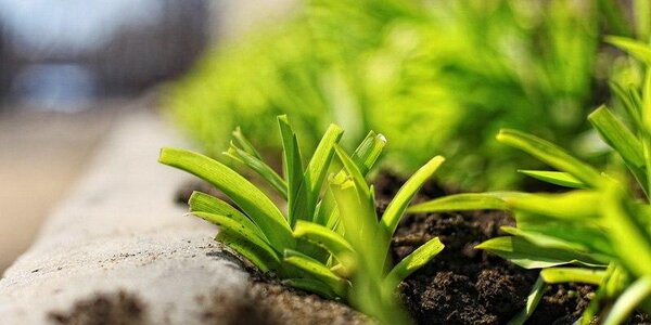 День 29 апреля стал самым жарким во Владивостоке за месяц