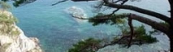 Японскому морю радиоактивное загрязнение не угрожает