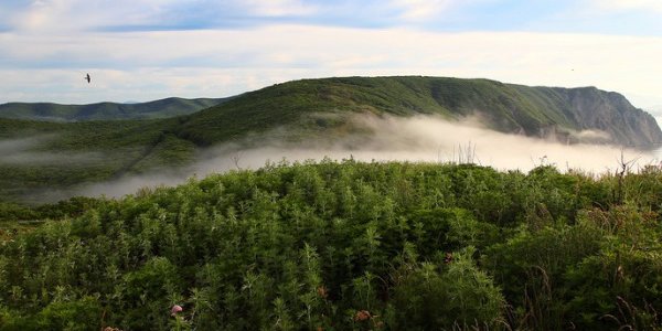 Осадки прошли мимо