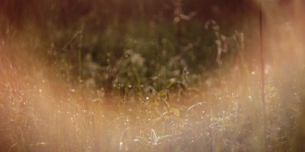 На юге Приморья существенных осадков не ожидается