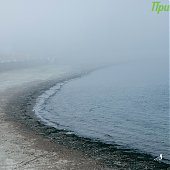 1 апреля на побережье Приморья будет ветрено и прохладно
