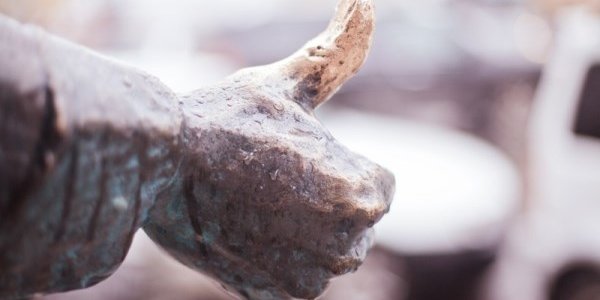 Небольшой дождь пройдёт во Владивостоке в субботу