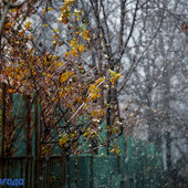Первые дни ноября принесли Владивостоку 2 декадные нормы осадков