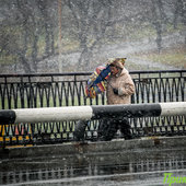 Первые дни ноября принесли Владивостоку 2 декадные нормы осадков
