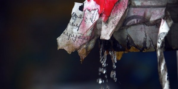 В ближайшие сутки в Приморье пройдут дожди, местами сильные