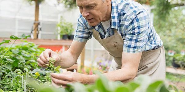 В ноябре во Владивостоке начнутся бесплатные занятия для дачников