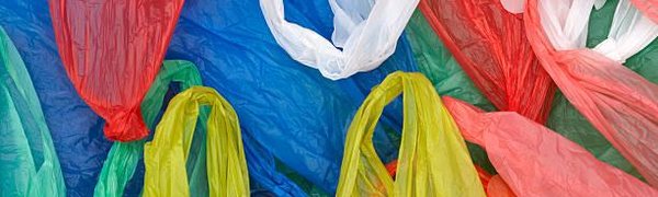 В России может появиться сбор на пластиковые пакеты