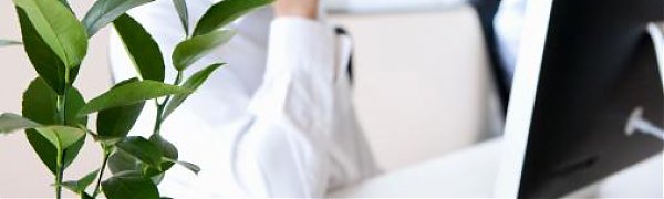 В офисах с комнатными растениями лучше работается