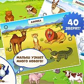 Ко Дню защиты детей владивостокские разработчики дарят детям игру для iPad, iPhone и Android