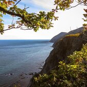 Сентябрь в Сихотэ-Алинском заповеднике – время ярких осенних красок