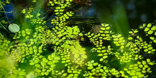 Как изменится погода в Приморье в начале недели, рассказали синоптики
