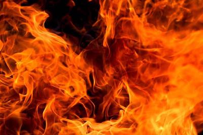 В Приморье объявлено предупреждение о высокой пожароопасности леса