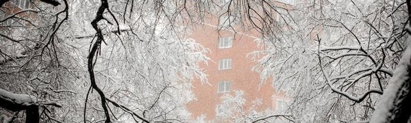 24 декабря Приморье накроет очередной снегопад