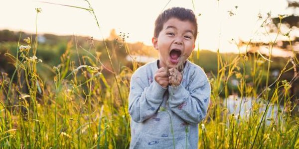 Завершившееся лето в России вошло в топ-5 самых тёплых в истории