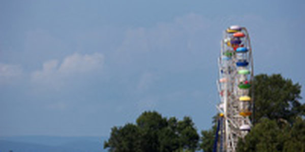 Начало следующей недели обещает быть солнечным и жарким