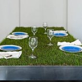 Зеленая лужайка круглый год на вашей кухне