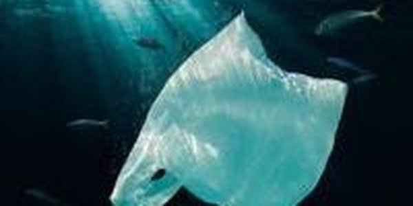 Разлагаемый пластик опасен для природы