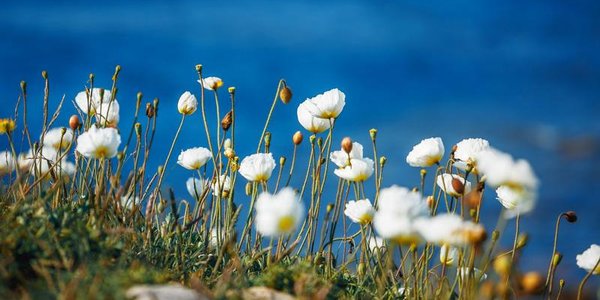 Начало недели во Владивостоке будет тёплым и солнечным