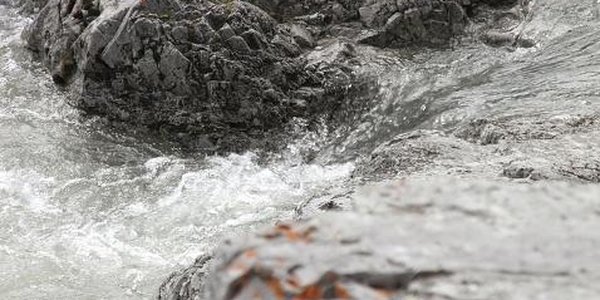 Из-за дождей на реках Приморья повысился уровень воды