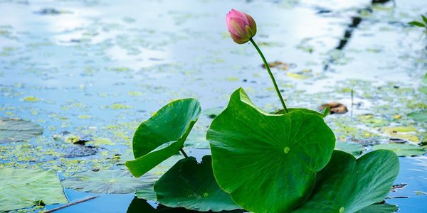 Прогноз погоды на выходные дни в Приморье и Владивостоке остался без изменений