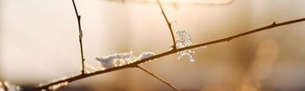 На следующей рабочей неделе погода в Приморье будет переменчивой