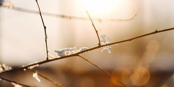 На следующей рабочей неделе погода в Приморье будет переменчивой