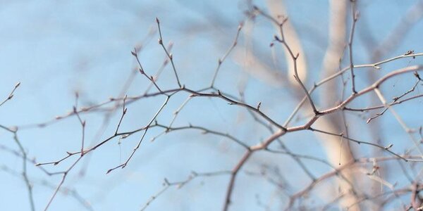 В четверг в Приморье местами потеплеет до +11 °С