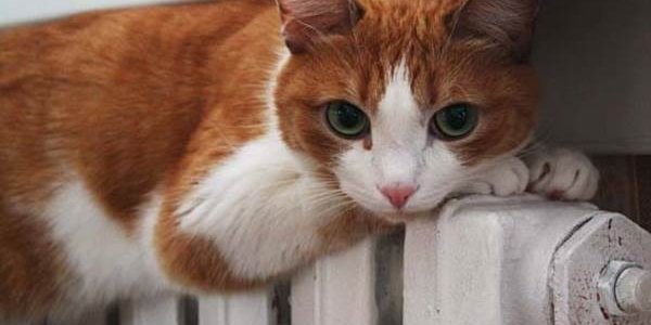 Тепло в дома жителей севера Приморья придет в начале октября