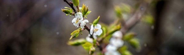 За прошедшие сутки в Приморье выпало до 2,5 декадных норм дождя