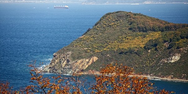 В четверг в Приморье потеплеет