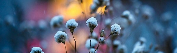 Чем дышал Владивосток с 1 по 10 ноября?