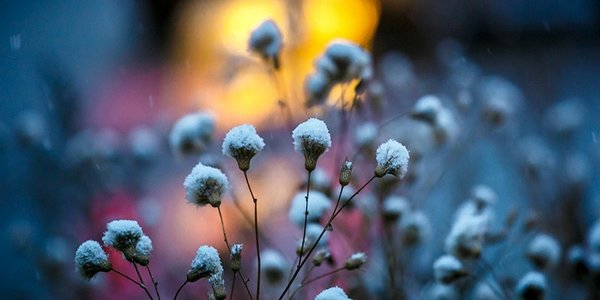 Чем дышал Владивосток с 1 по 10 ноября?