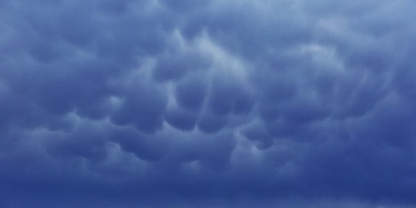 В ближайшие сутки в Приморье вновь пройдут дожди