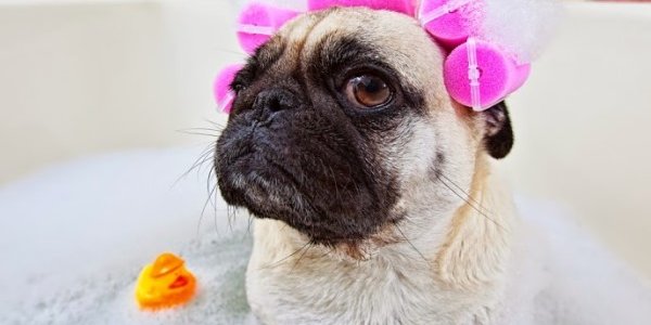 Во Владивостоке завершается финальный этап гидравлических испытаний