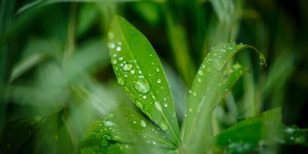 Вероятность небольших дождей сохранится в Приморье до конца рабочей недели