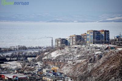 Чем дышал Владивосток с 21 по 29 ноября?