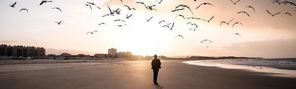 Четверть россиян задумывается об эмиграции