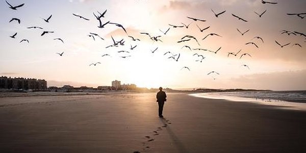 Четверть россиян задумывается об эмиграции