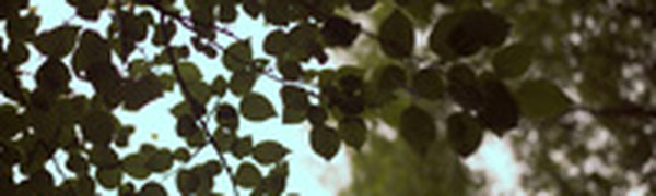 С территории Китая к границам Приморья приближаются атмосферные фронты