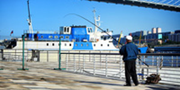 Погода в выходные