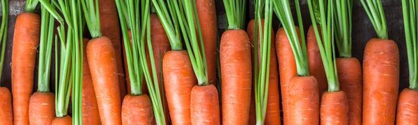 Учёные назвали самый полезный в мире овощ