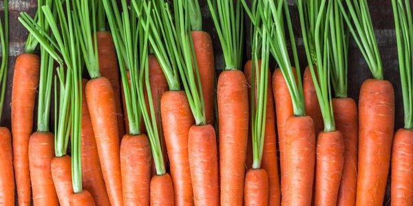 Учёные назвали самый полезный в мире овощ