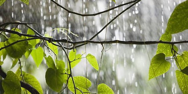 Земля станет планетой вечных дождей