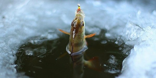 Новое на Примпогоде: Прогноз погоды для рыбаков-любителей