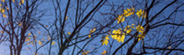 Во вторник ожидается небольшой дождь