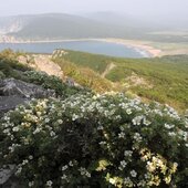 Июль в Сихотэ-Алинском заповеднике — жаркая макушка лета